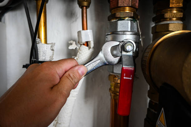 Best Shower Repair Services  in Hollister, MO